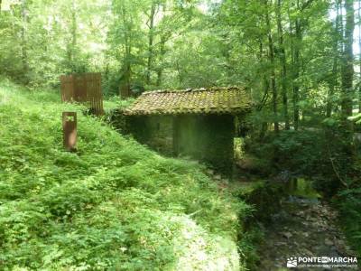 Parque Natural Pagoeta_Valle Leitzaran;el monton de trigo hoz de pelegrina sierra de cazorla ruta de